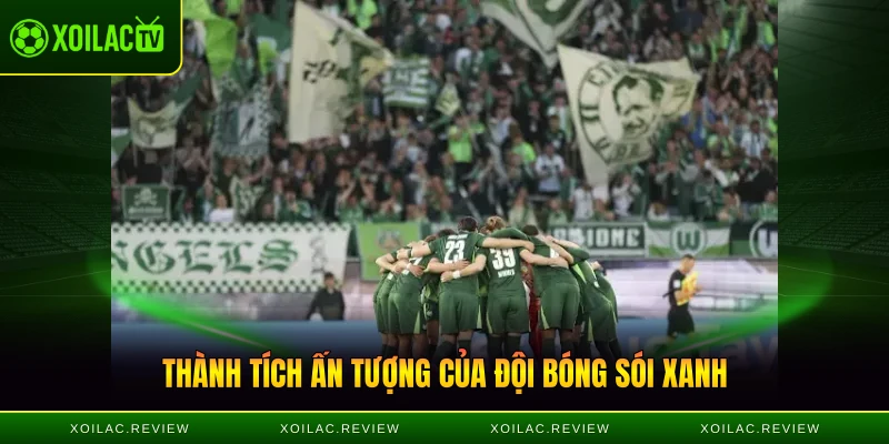 Thành tích ấn tượng của đội bóng Sói Xanh